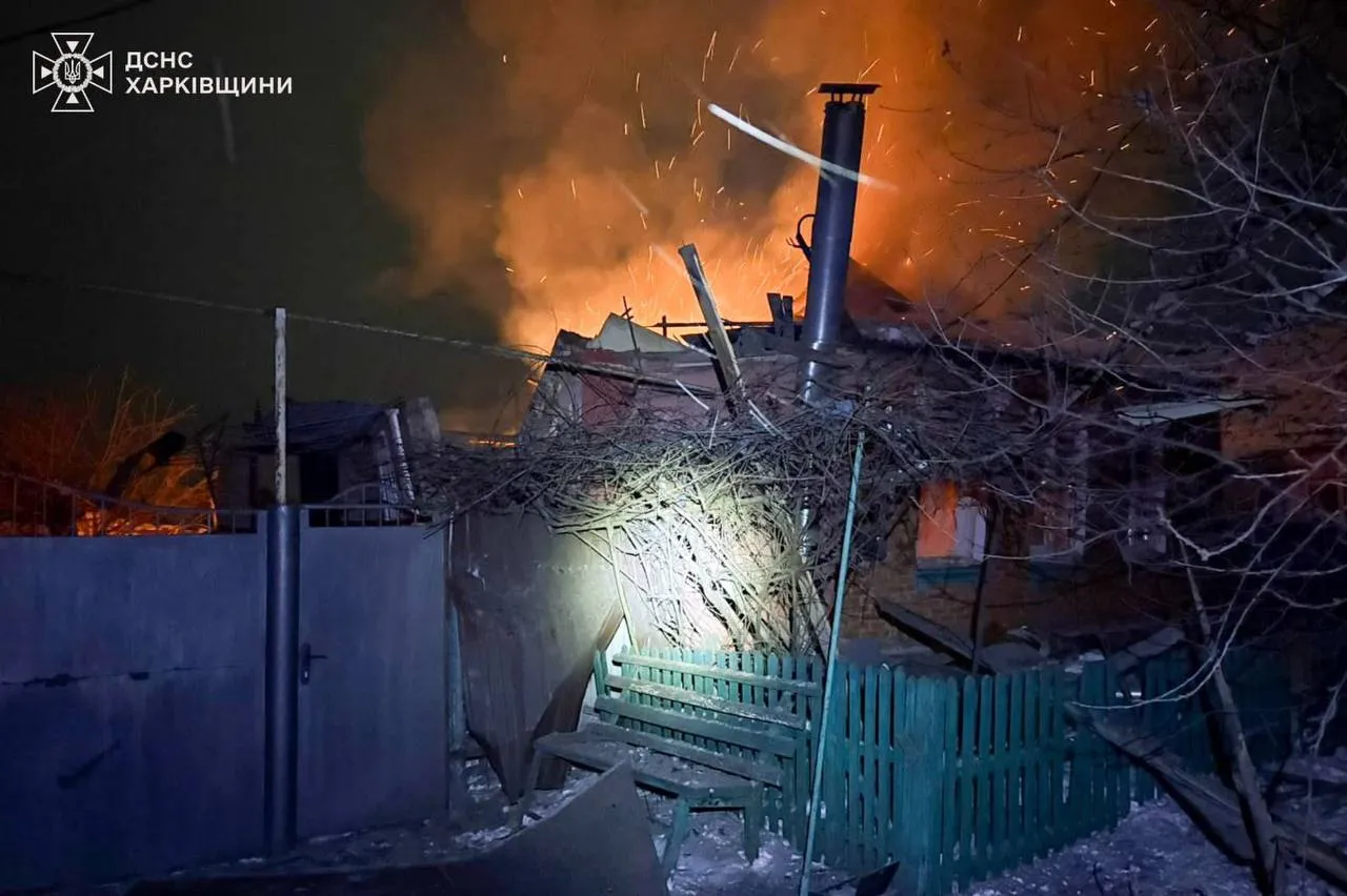 В экопарк под Харьковом попала бомба: погибли птицы, ранены львы