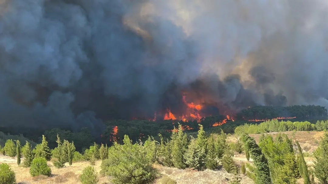 Incendiile forestiere din Turcia continuă: Locuitorii a cinci sate, evacuați