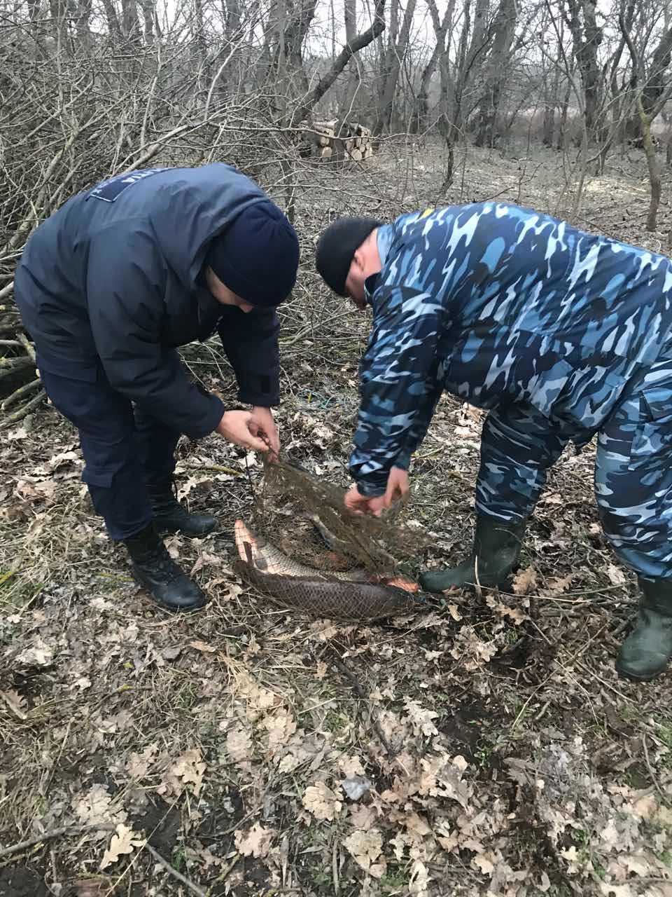 Prinși în flagrant în timp ce pescuiau ilegal în râul Nistru