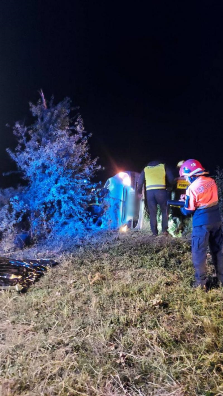 В Сынжерейском районе автомобиль врезался в дерево: водитель погиб