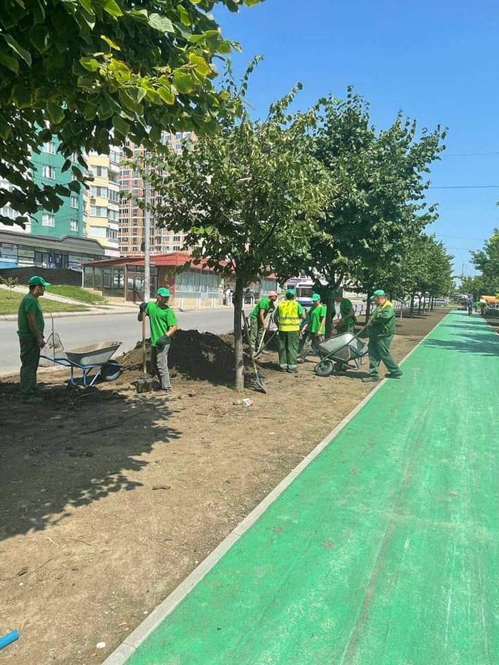 Аллея Мирча чел Бэтрын заасфальтирована, благоустроена зеленая зона