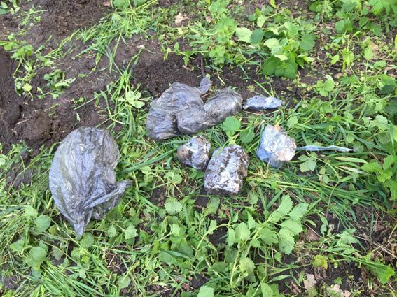 В одесском парке нашли гранаты и патроны