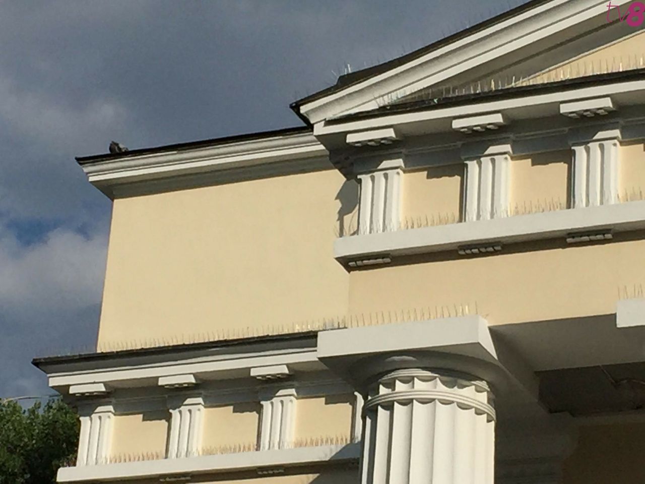 В Кафедральном соборе борются с голубями с помощью шипов