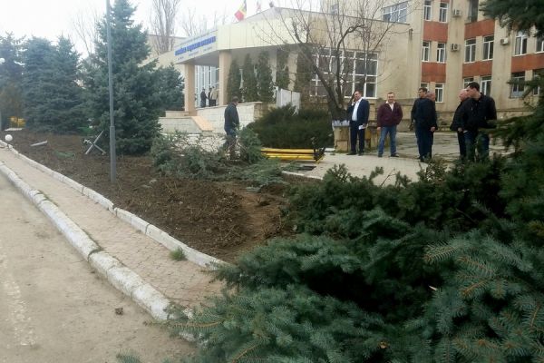 В Комрате автомобиль сбил фонарь и две ели прямо у здания примэрии