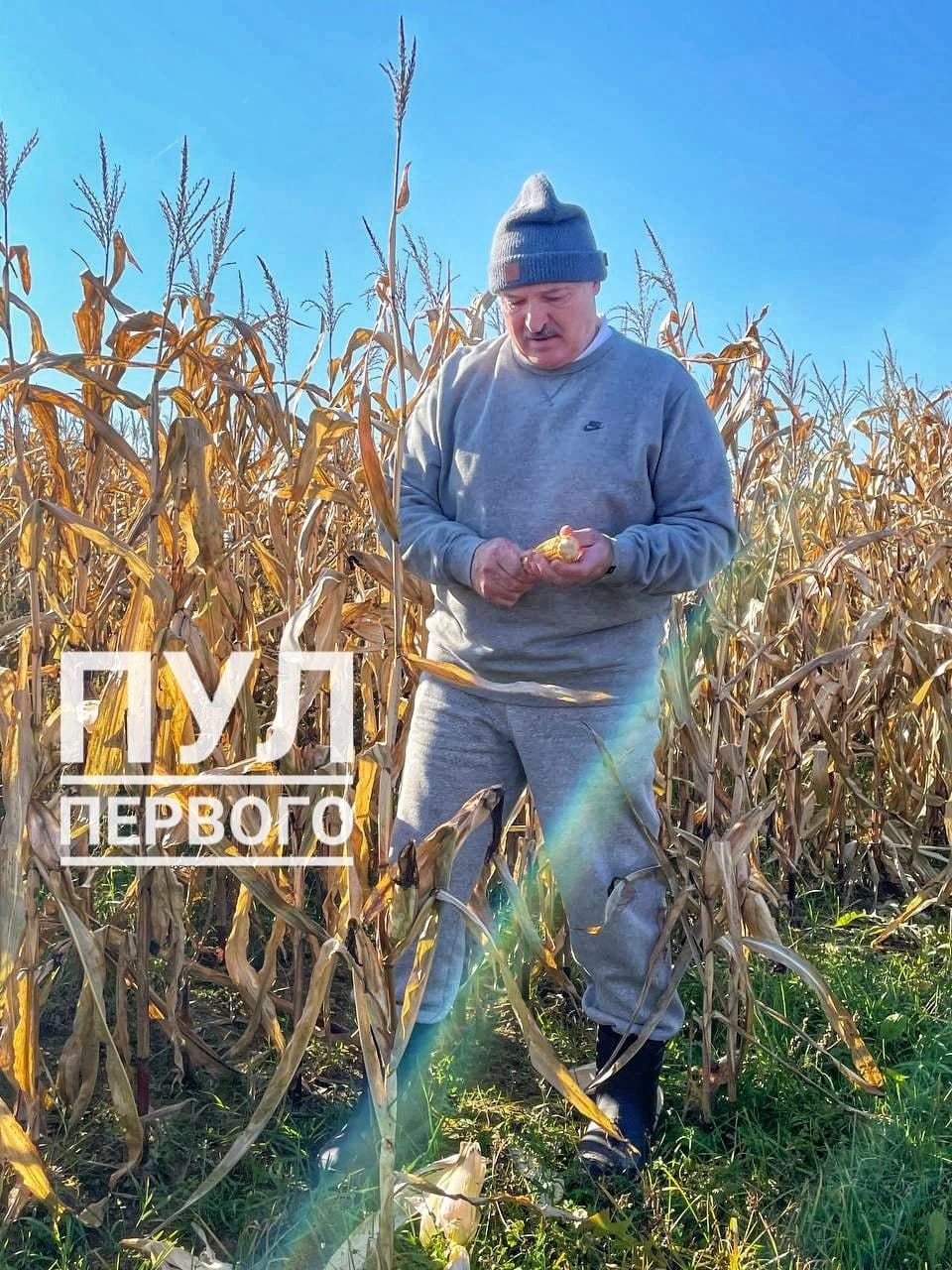 Лукашенко прокатился на мотоцикле и полюбовался белорусскими полями