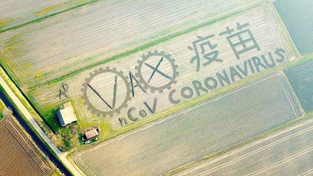 Художник "создал" коронавирус на поле с помощью трактора