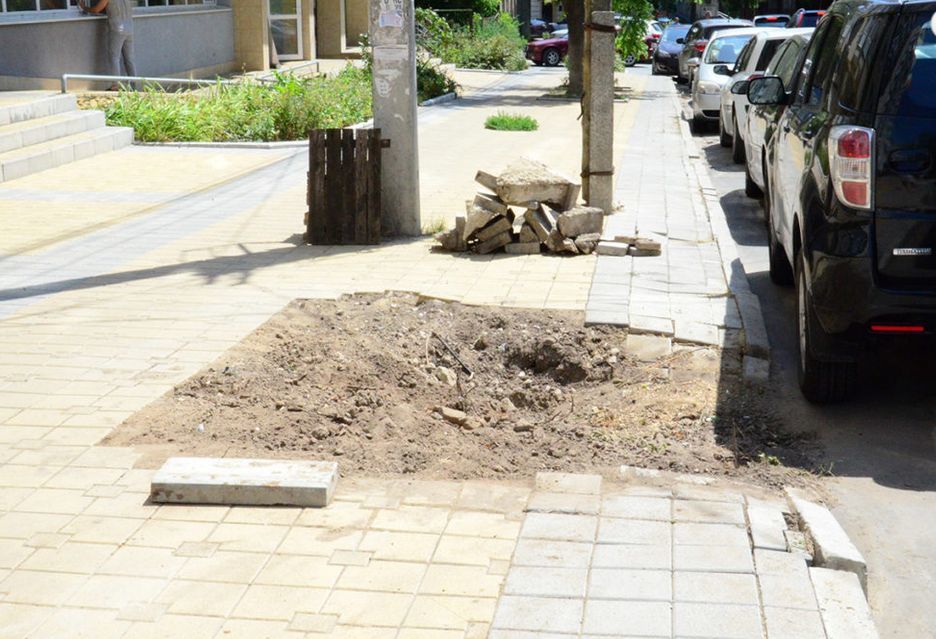 "Ассоциация зеленого хозяйства" провела работы в центре города