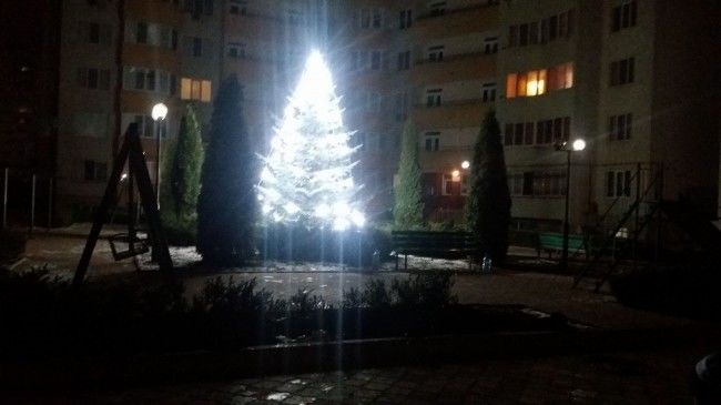 Жильцы домов на Буюканах нарядили елку в своем дворе