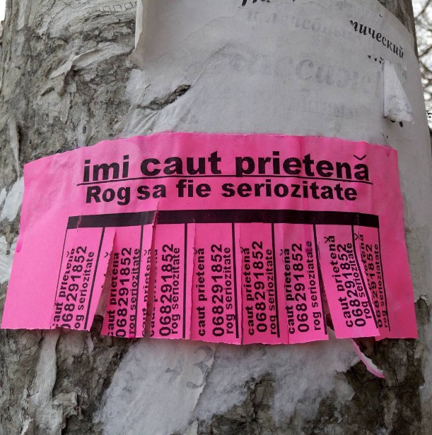 Un bărbat din Chișinău a pus anunțuri pe copaci că își caută iubită