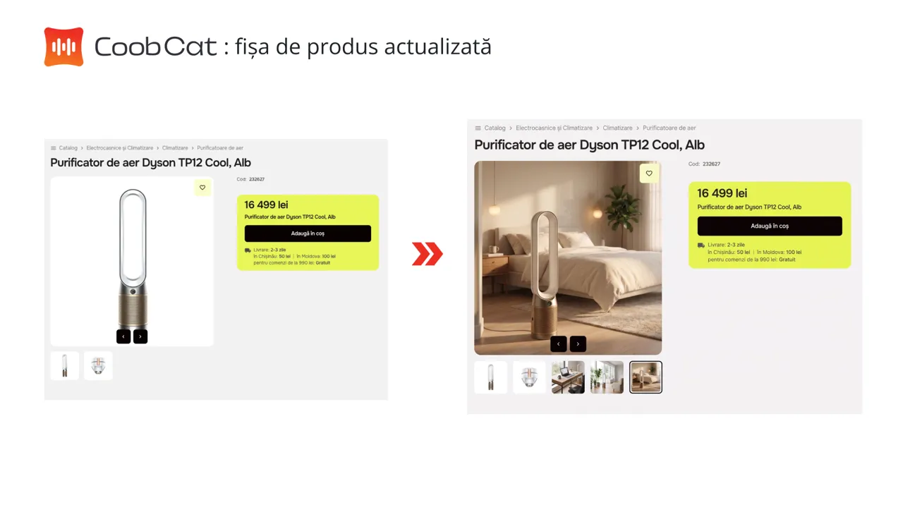 Google ASR în Moldova: Date, AI și suportul experților Coob Ads