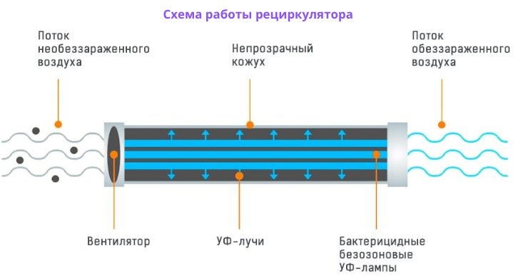 MedHelper: Аппарат для УФ-обработки воздуха убивает даже “Omicron”