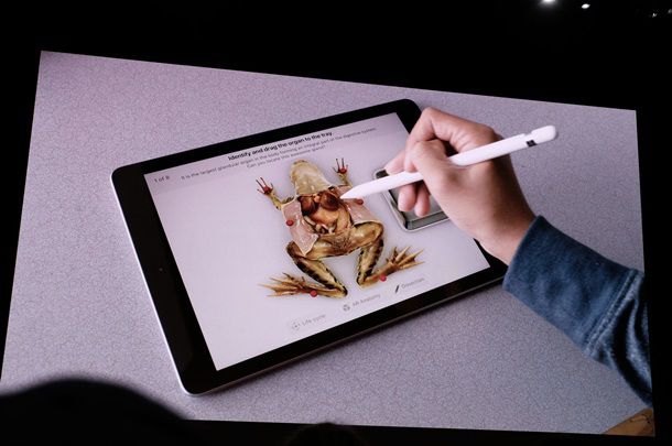 Apple официально презентовала бюджетный iPad