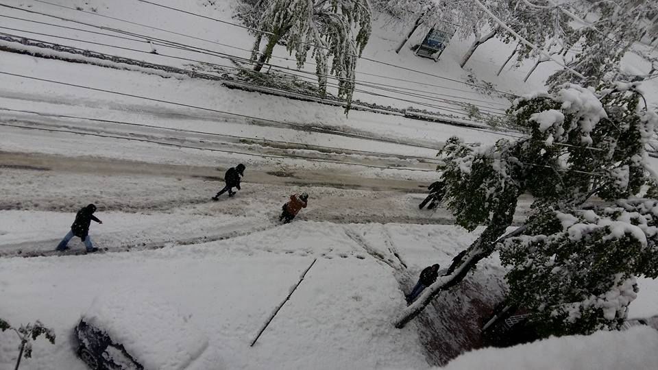 Transportul public nu circulă
