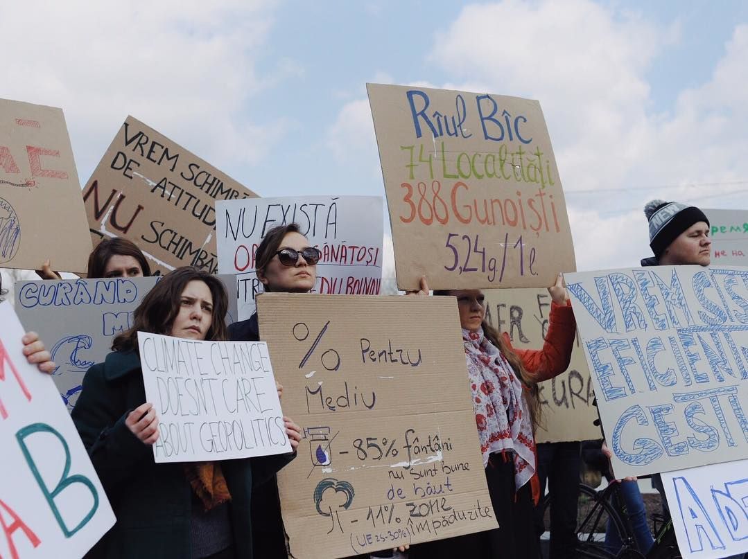 Активисты протестовали у правительства, требуя защиты окружающей среды