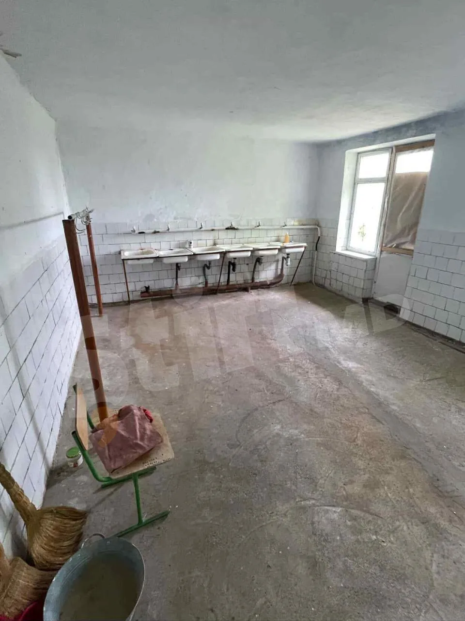 Viitorii biologi se plâng că fac practică în condiții inumane