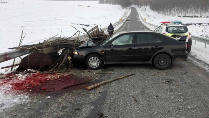 Страшная авария в Дондюшанах: автомобиль врезался в телегу