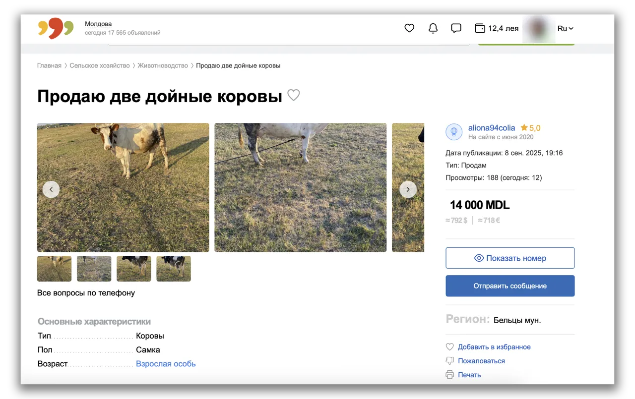La prețul unui iPhone 17 Pro Max poți cumpăra trei vaci în Moldova