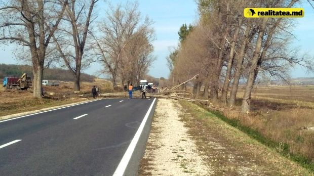 Atenție la drum! Trafic blocat din cauza copacilor căzuți în mijlocul drumului