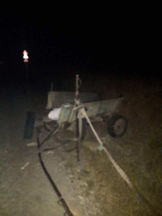 В Рышканском районе автомобиль врезался в гужевую повозку