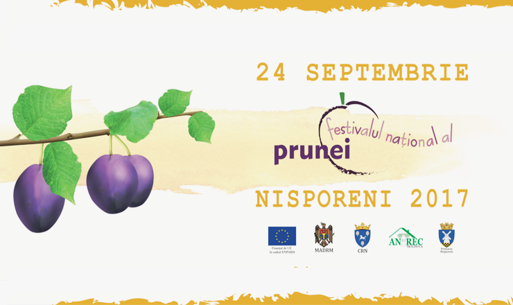 Cea de-a II-a ediție a Festivalului Național al Prunei va avea loc în curînd