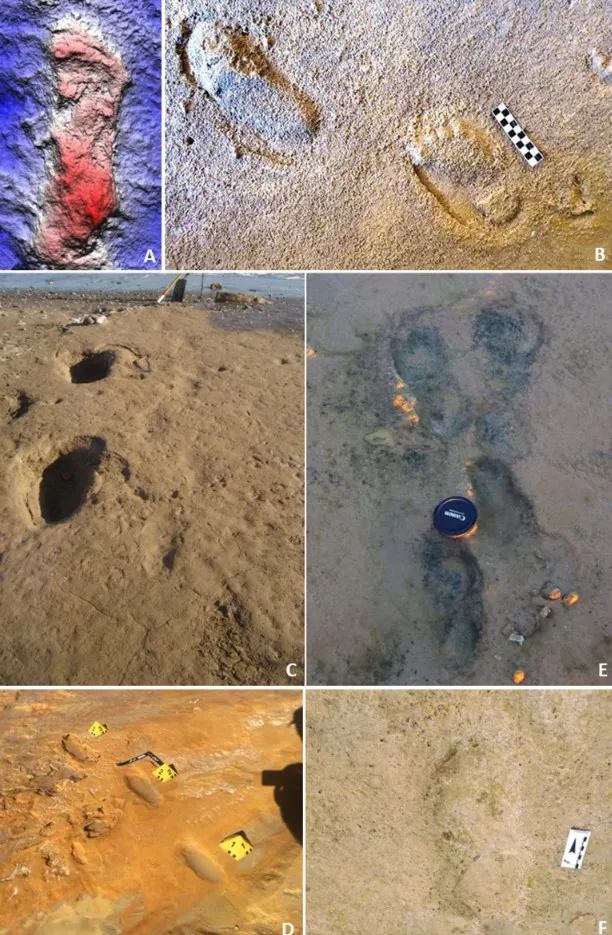 Neanderthalienii împreună cu familiile lor se odihneau pe plajele din Portugalia acum aproximativ 80.000 de ani