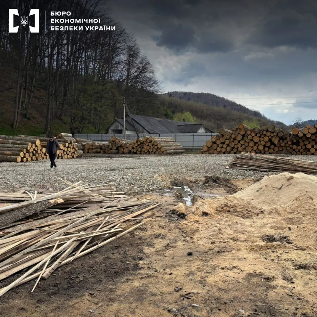 В Украине ликвидировали канал незаконного вывоза древесины в Молдову