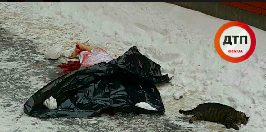 В Киеве женщина выбросила из окна сына и двух котов, а затем прыгнула сама