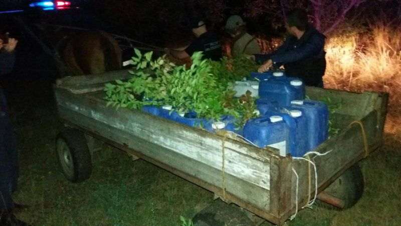 O căruță ticsită cu butelii pline cu alcool, reținută la frontieră