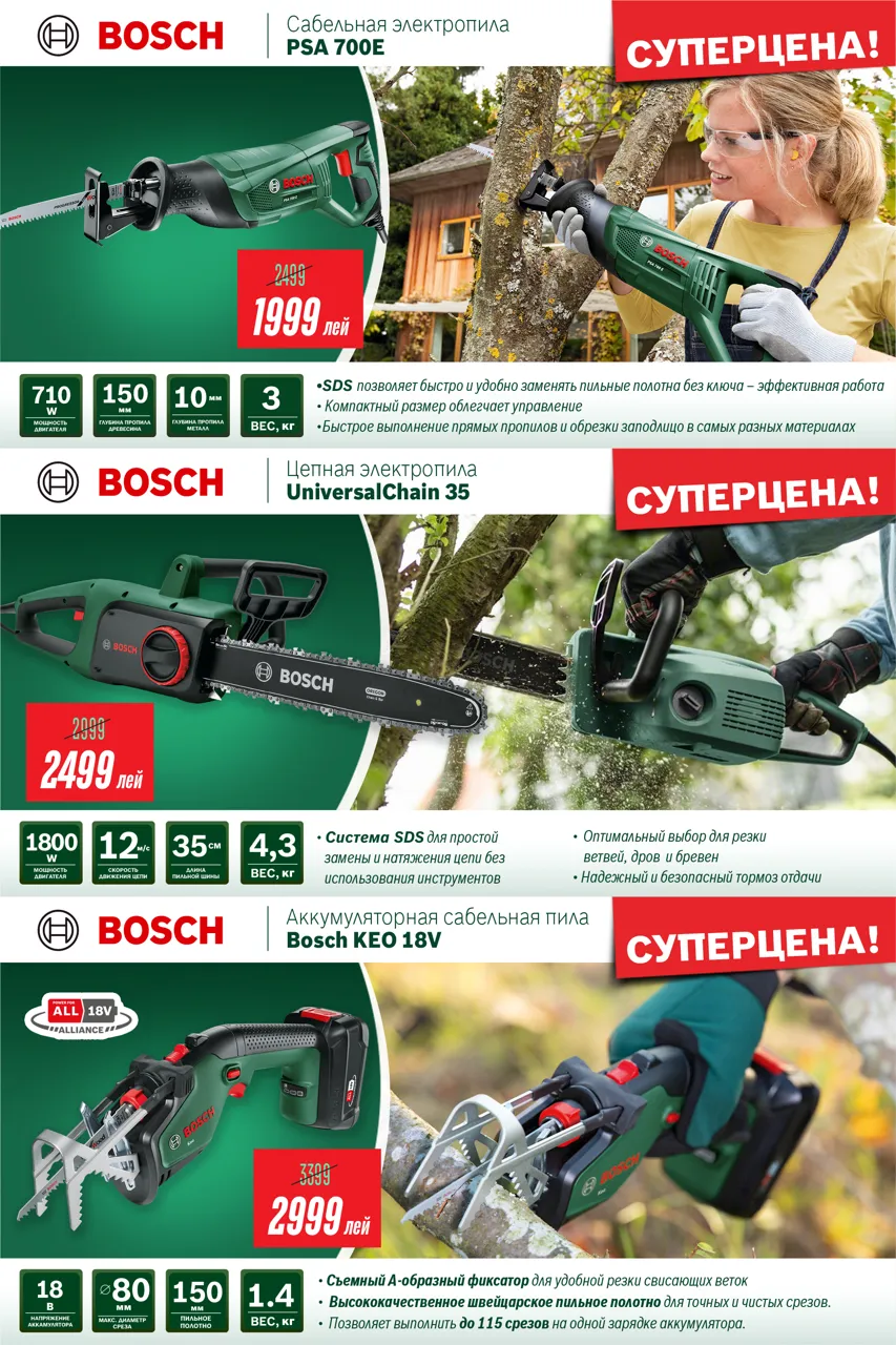 Bosch: Сезон осенних садовых работ открыт - инструменты от 799 леев