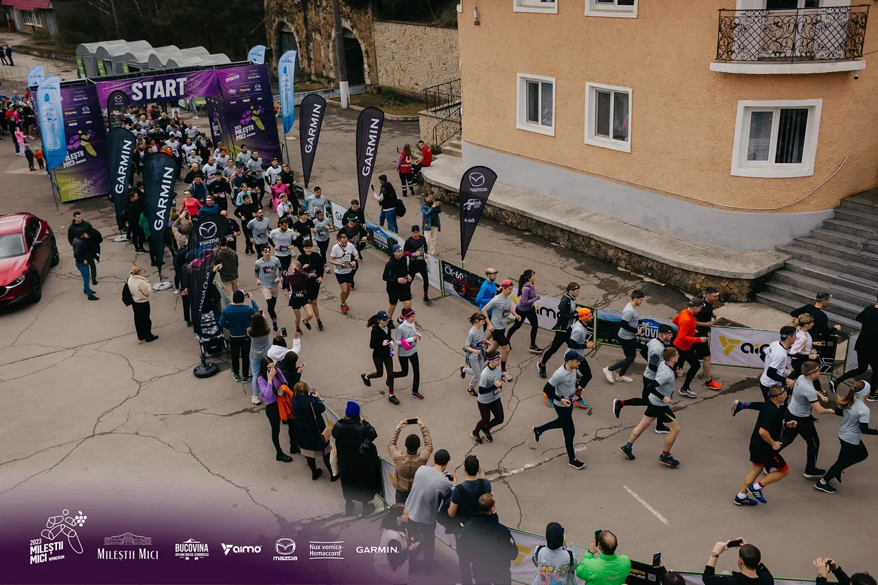 Открыта регистрация на Milestii Mici Winerun 2024