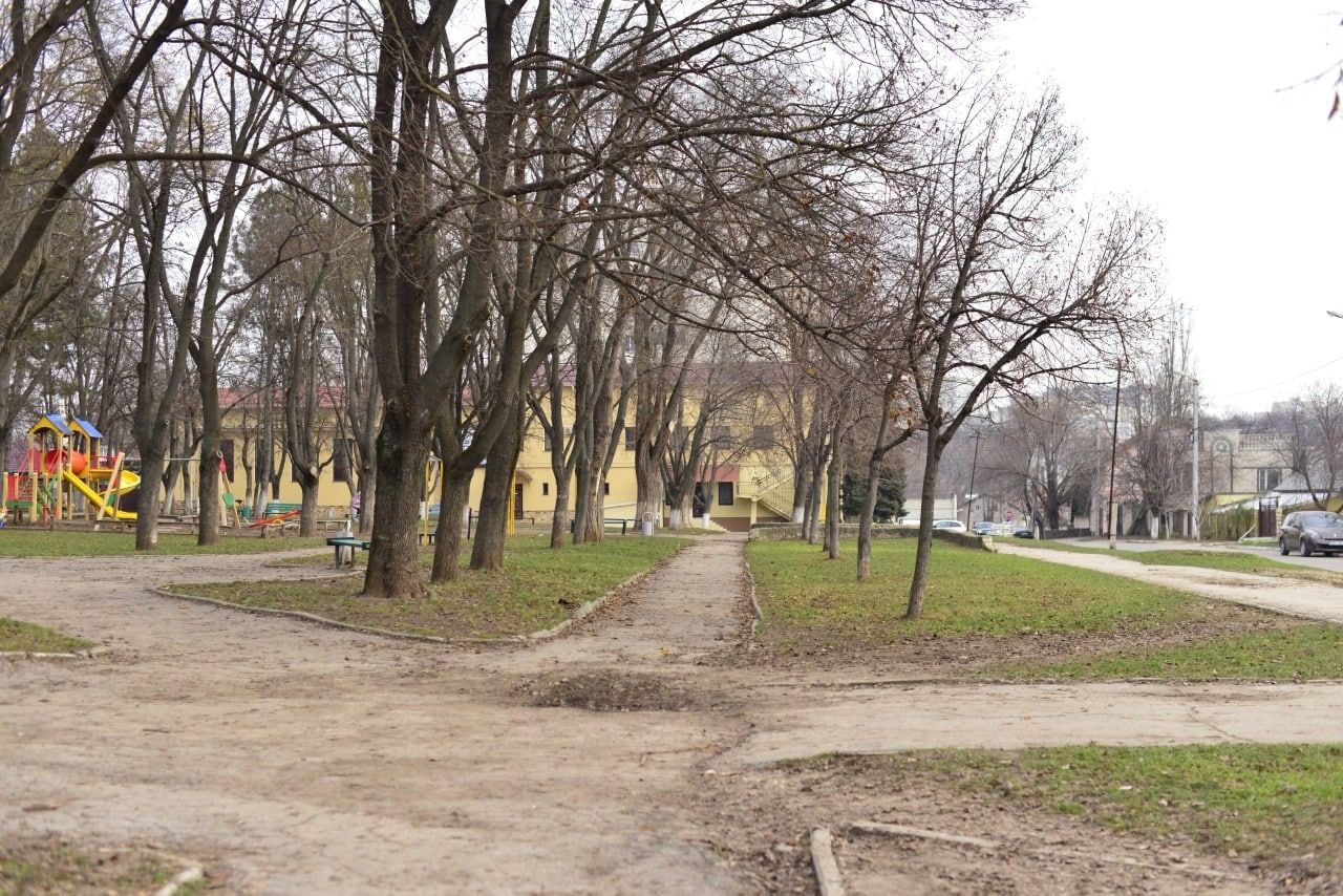 На Старой Почте восстанавливается зеленая зона "Рэзешилор"