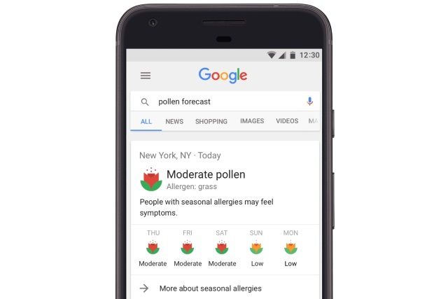Google научился предупреждать об опасных днях для аллергиков