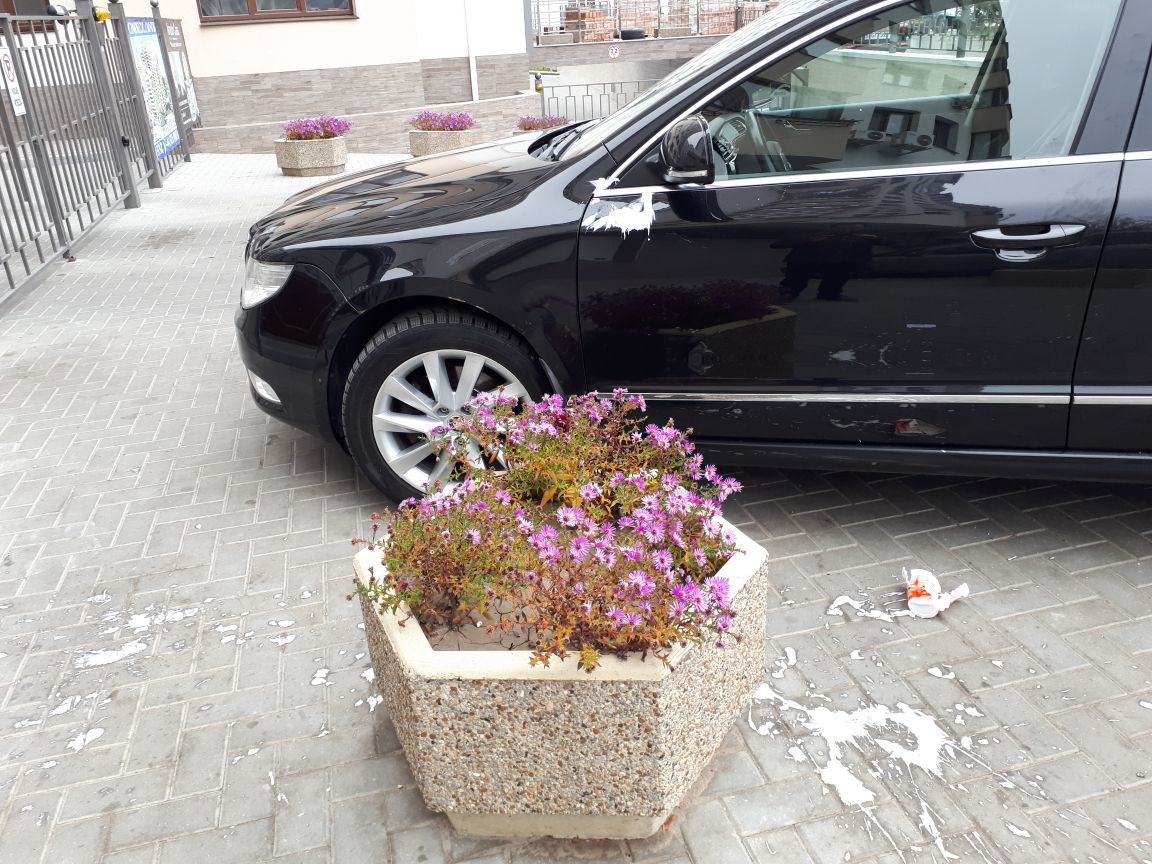 Mașină parcată în fața intrării. Răzbunarea dură a vecinilor