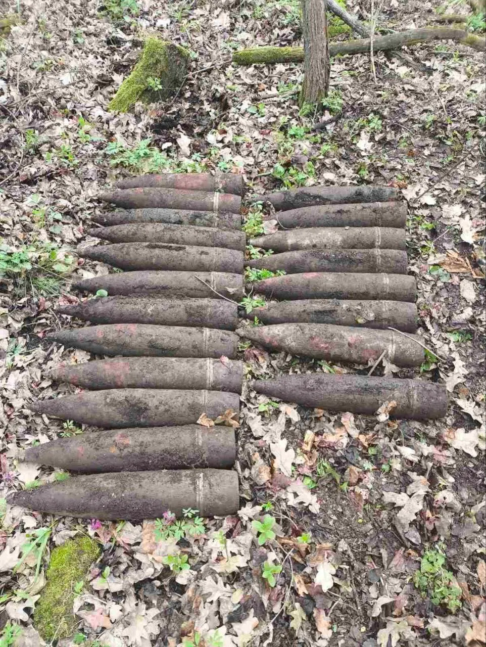 Peste 20 de obiecte explozive din perioada celui de-al Doilea Război Mondial, distruse la Ștefan Vodă