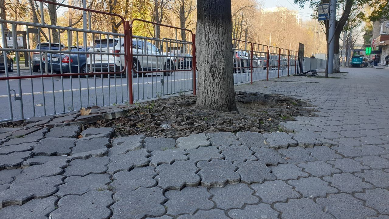 Начались работы по снятию старого покрытия на улице Александра Пушкина