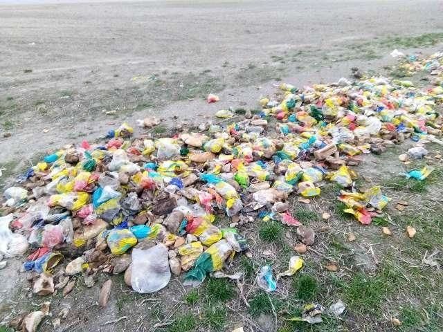 Возле международной трассы на Украине выбросили тысячи буханок хлеба