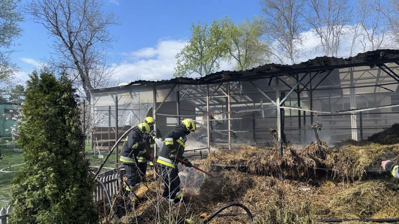 На улице Каля Орхеюлуй в столице возник пожар