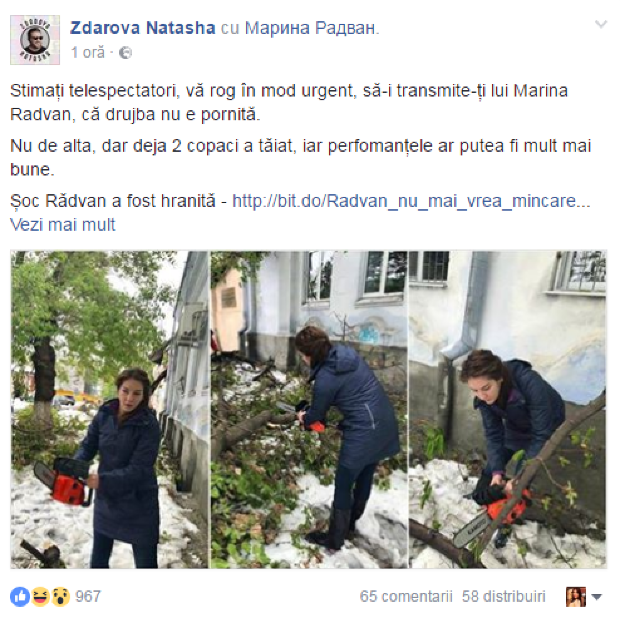 Deputata Marina Radvan, cu drujba la tăiat copacii prăbușiți din Capitală
