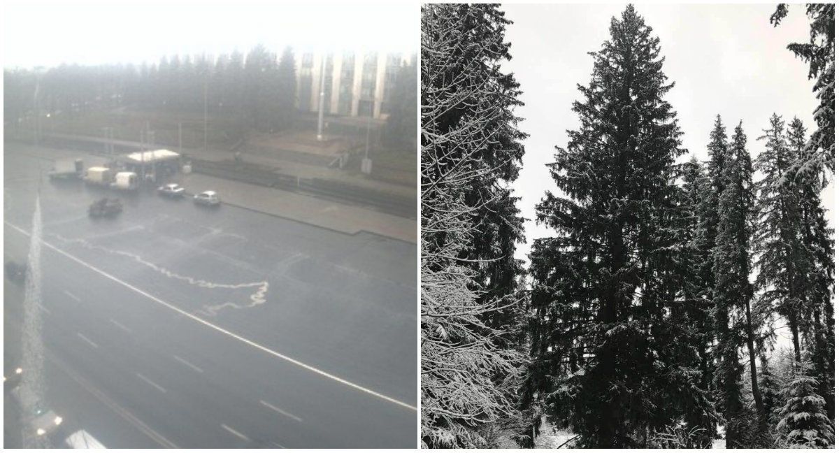Новогодняя елка еще не доставлена на центральную площадь столицы