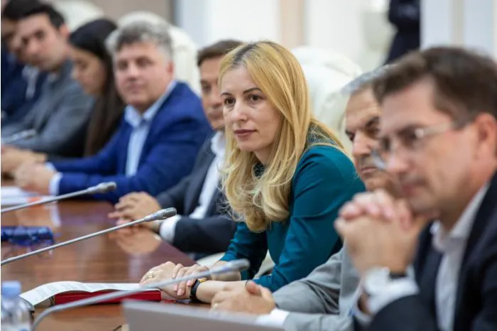 Гаврилица - Ассоциации румынских инвесторов: Мы рады открытости властей Бухареста