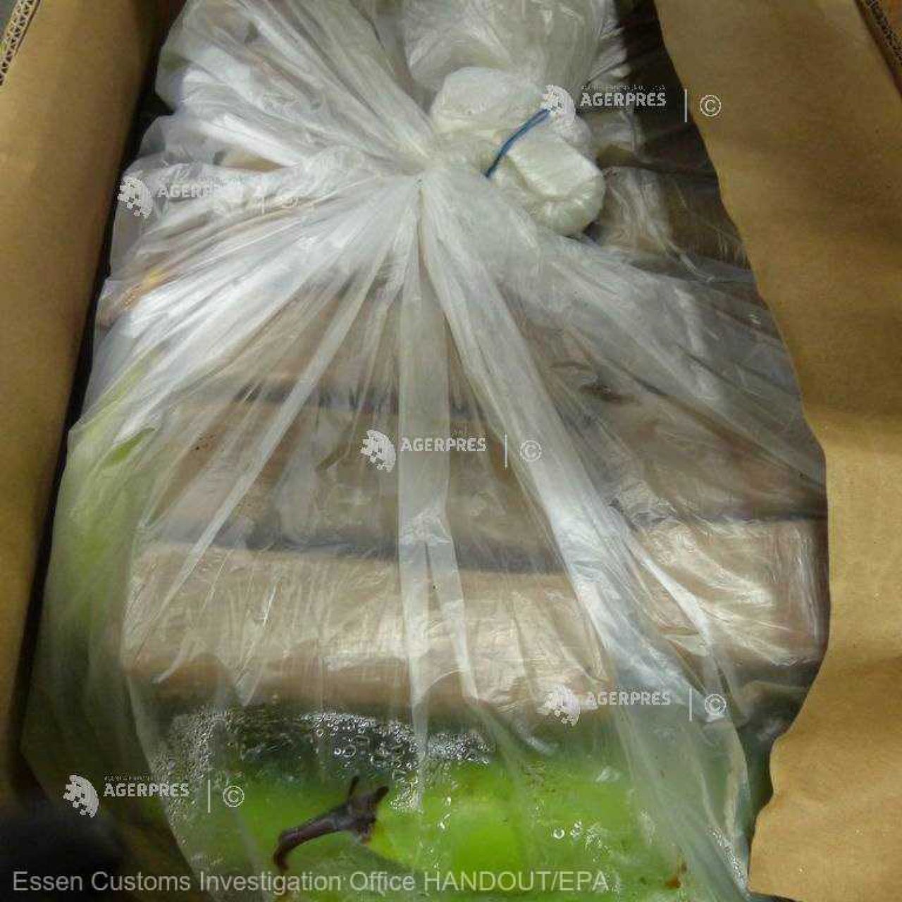 Captură record de peste 600 de kilograme de cocaină. Unde erau ascunse