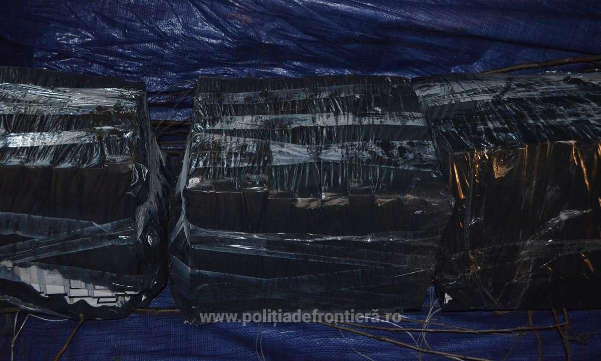Молдаванин спрятал 30 000 контрабандных пачек сигарет под саженцами плодовых деревьев