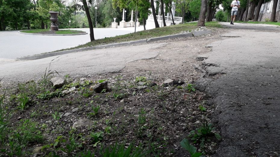 Многие парки в столице не оснащены пандусами