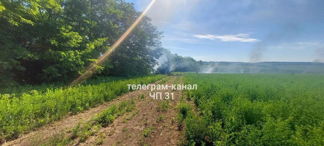 Самолет Су-25 потерпел крушение в Белгородской области