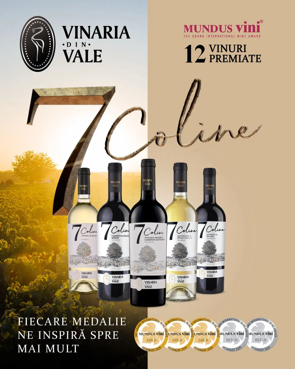Vinăria din Vale: 12 medalii, 12 vinuri premiate - o nouă confirmare a excelenței