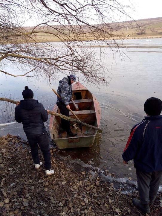 В Оргеевском районе спасли лебедей, оказавшихся в ловушке посреди замерзшего озера