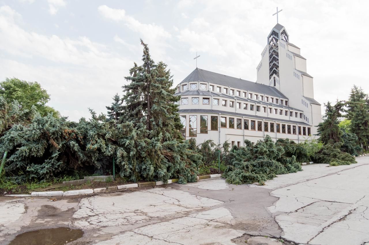 Спустя неделю после урагана в Бельцах остались поваленные деревья