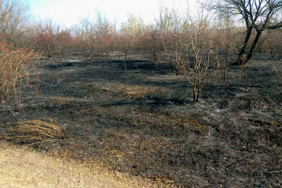 В Дубоссарском районе разгорелись сильные пожары