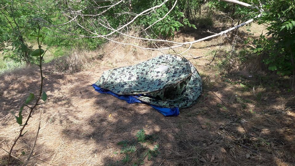Труп погибшей лошади спрятали в столичном парке Валя Морилор