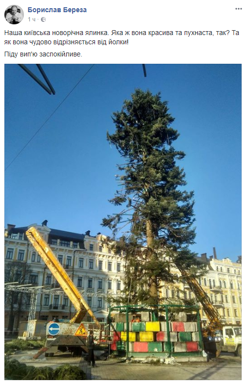 В центре Киева установили почти лысую главную елку